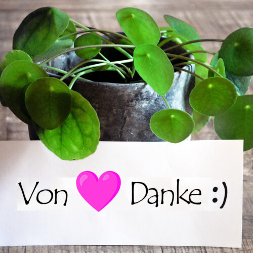 DANKE