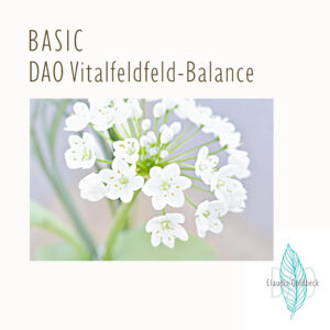 DAO Vitalfeld Balance - Fernanalyse Basic