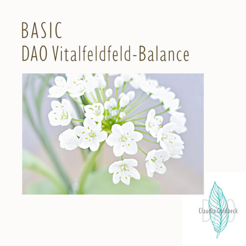 DAO Vitalfeld Balance - Fernanalyse Basic