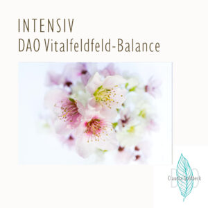 DAO Vitalfeld Intensiv - Persönlich Zoom