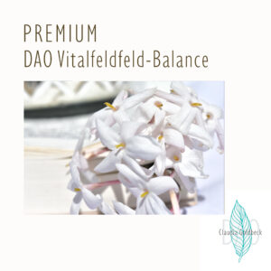 DAO Vitalfeld Premium - 1:1 Begleitung