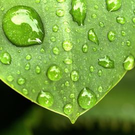 Bewusstseinsentwicklung Schaffhausen Goldbeck Bewusstseinsentwicklung Schaffhausen Goldbeck