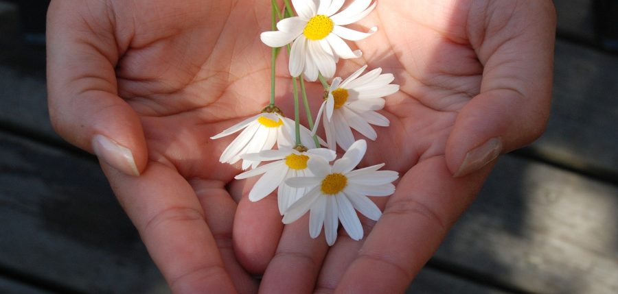 Mobile Energietheraie Schaffhausen Goldbeck Mobile Energietheraie Schaffhausen Goldbeck