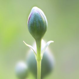 intuitiv mediale Beratung Zürich Schaffhausen Ostschweiz intuitiv mediale Beratung Zürich Schaffhausen Ostschweiz